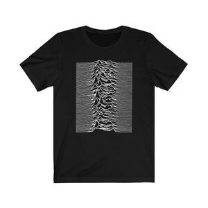 Joy Division Unisex Adult Unknown Pleasures Back Print T-Shirt / Black